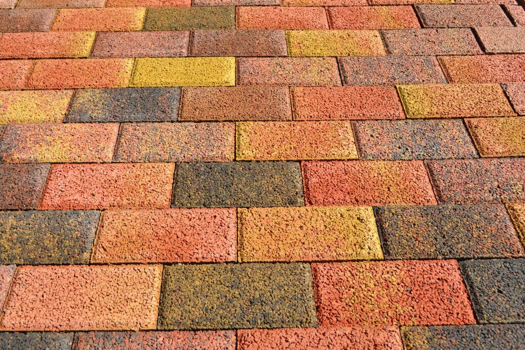 Sidewalk tile Leaf Fall