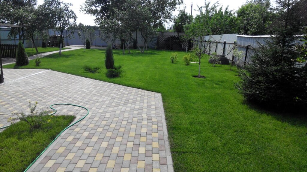 Paving tiles on the plot