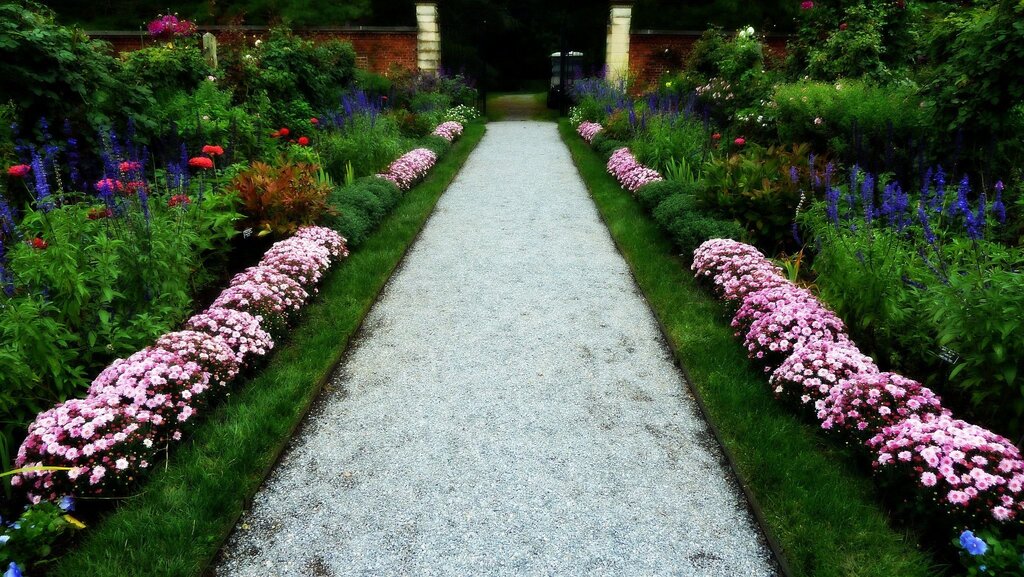 Flowers for the border