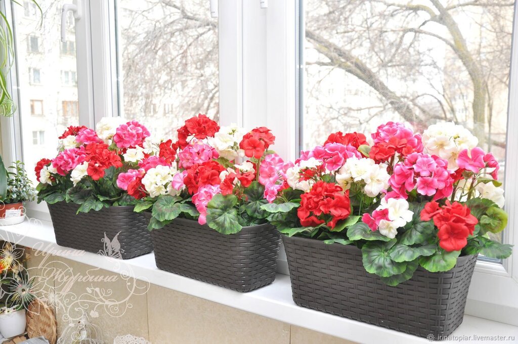 Flowers in pots on the balcony