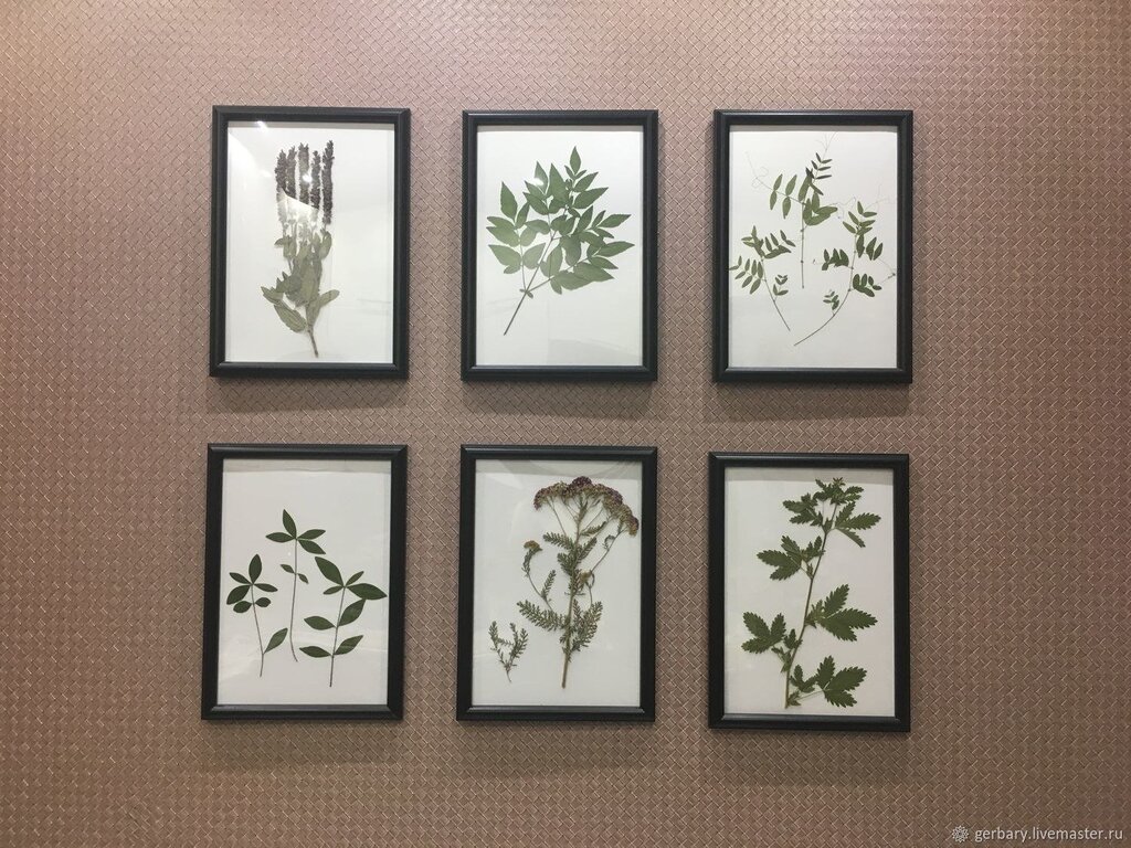 Flowers in a frame on the wall