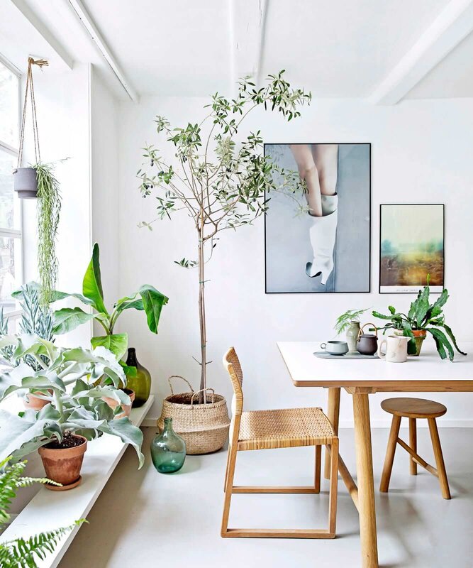 Flowers in Scandinavian interior