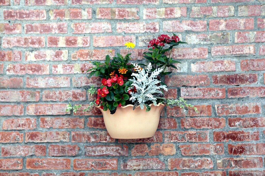 Flower pots on the wall