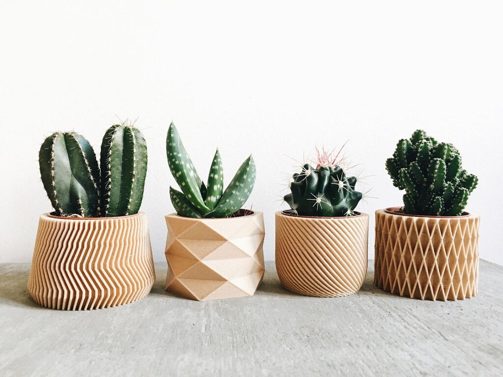 Flower pots in the interior