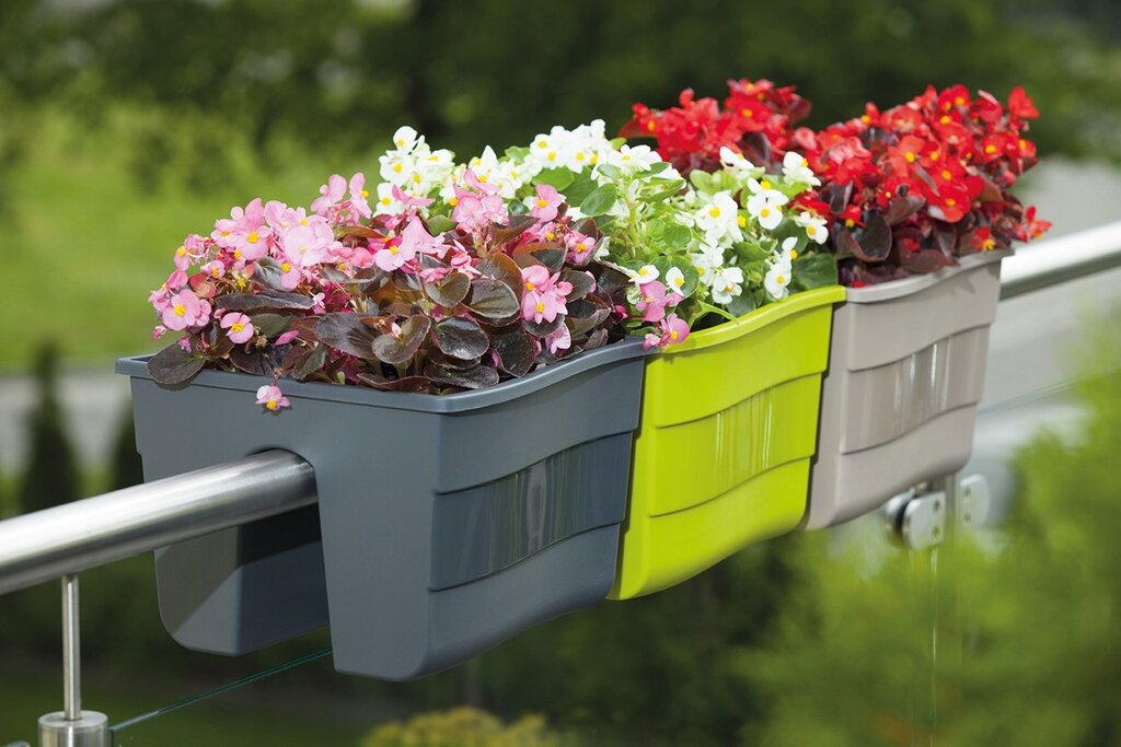 Flower boxes for the balcony