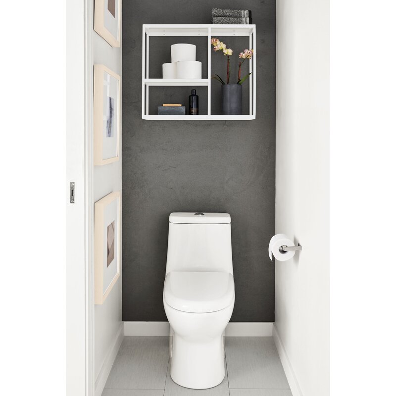 Toilet with shelves