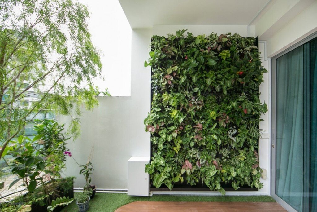 Vertical Greening of the Balcony