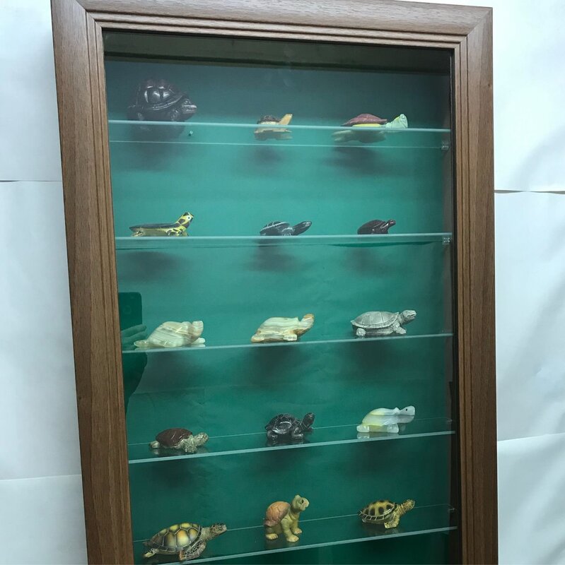 Wall showcase with glass