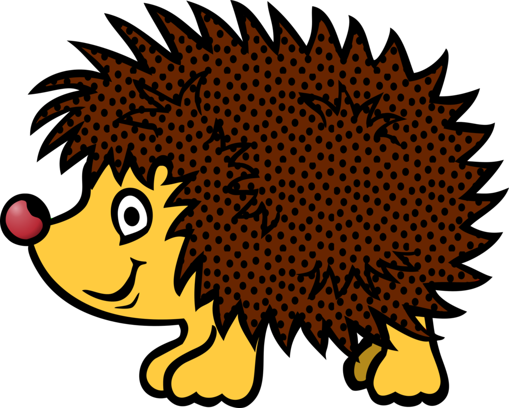 Hedgehog pictures drawings