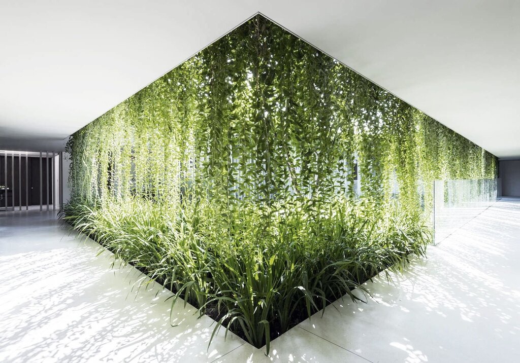 Greenery on the ceiling