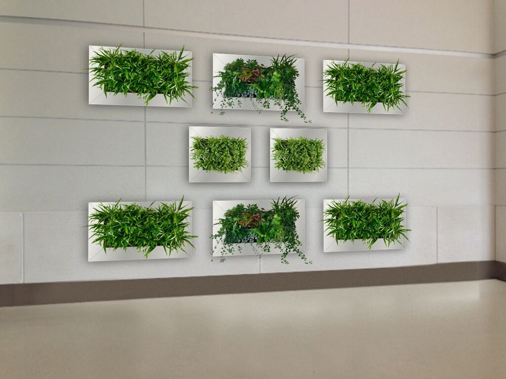 Greenery on the wall