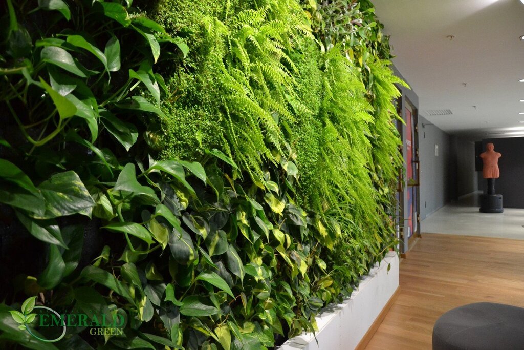 A green wall of plants in the apartment