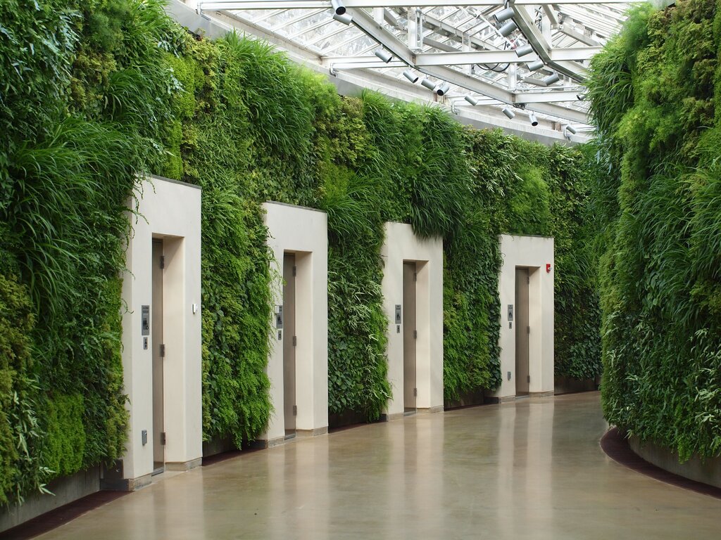 Green living wall