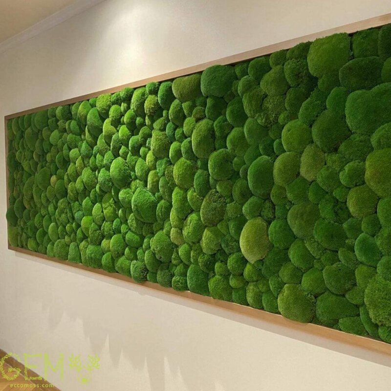 Green wall panels