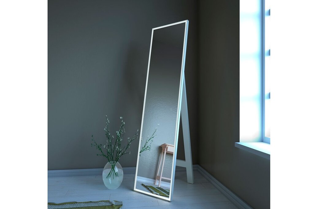 A mirror standing on the floor