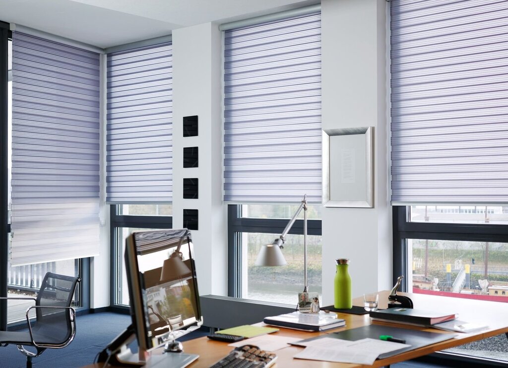 Blinds for windows