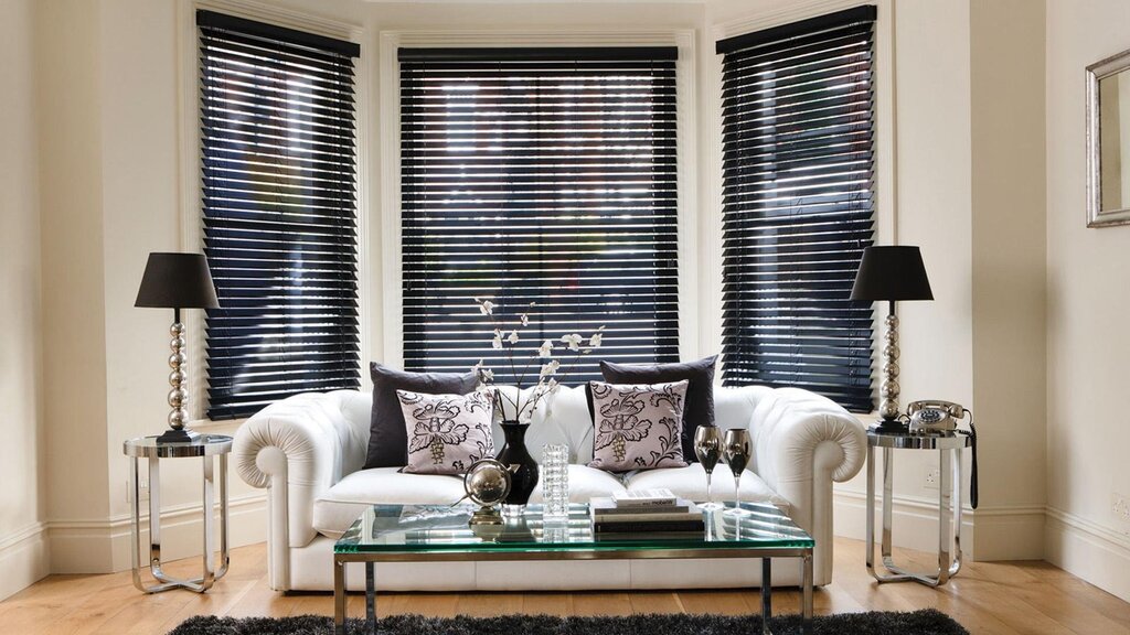 Blinds for plastic windows