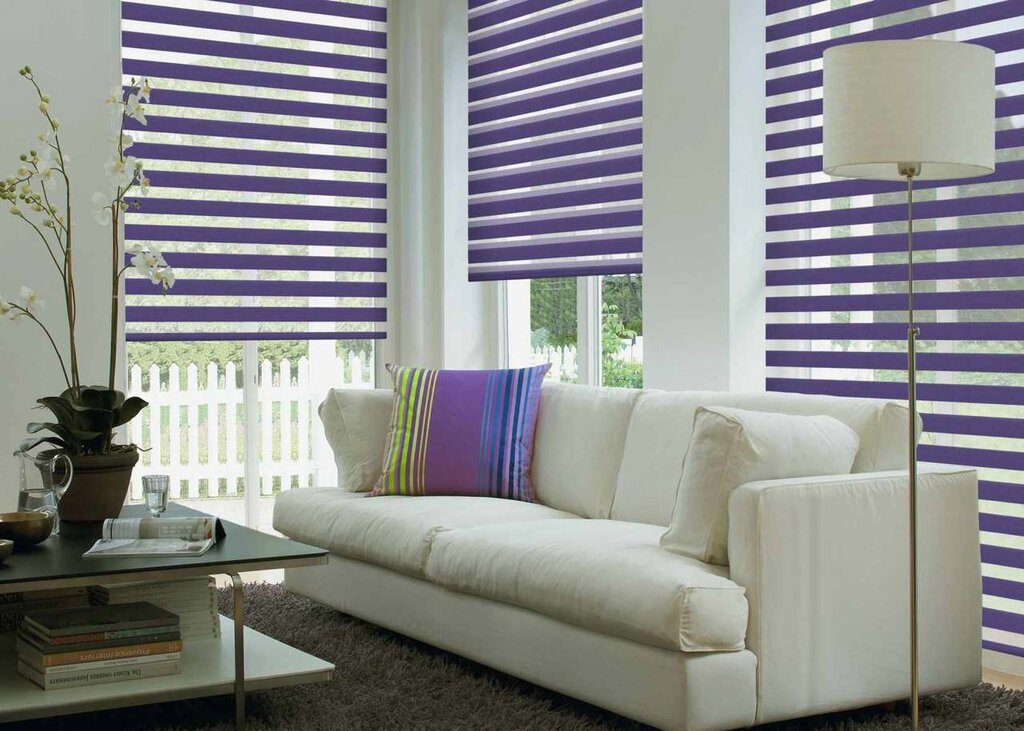 Roller blinds zebra day night