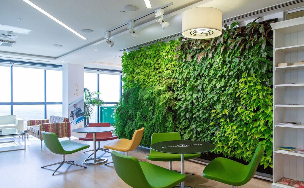 Living wall in the interior