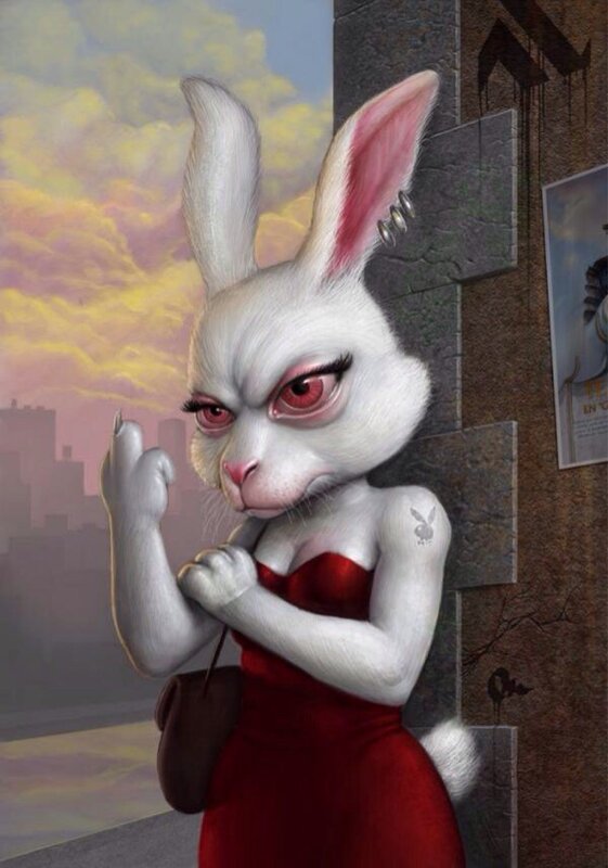 Angry bunny pictures